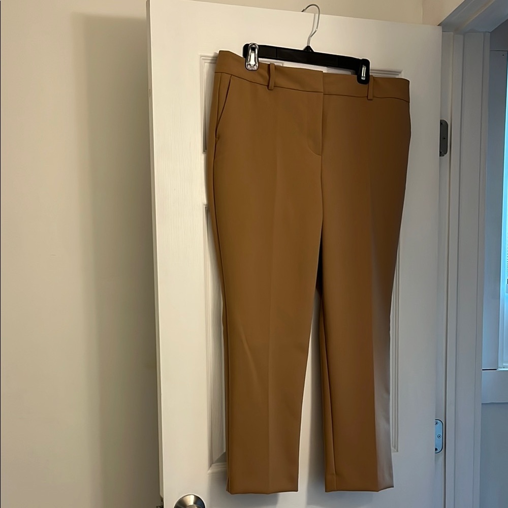 Ann Taylor Factory Tan Straight Leg Pants-size 12